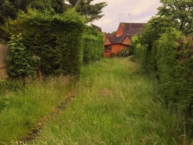 Before Garden Clearance