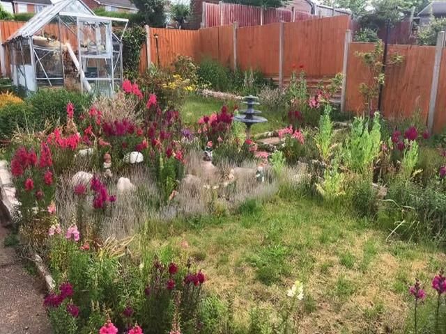 Garden Before Clearance